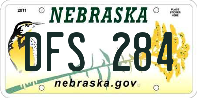 NE license plate DFS284