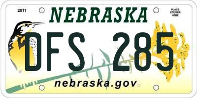 NE license plate DFS285
