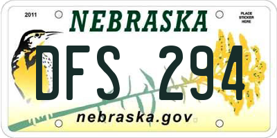 NE license plate DFS294