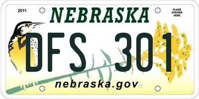 NE license plate DFS301