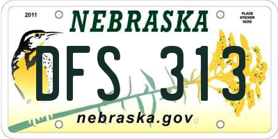 NE license plate DFS313