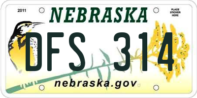 NE license plate DFS314