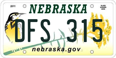 NE license plate DFS315