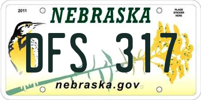 NE license plate DFS317