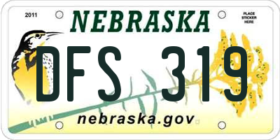 NE license plate DFS319