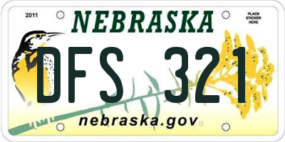 NE license plate DFS321