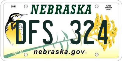 NE license plate DFS324
