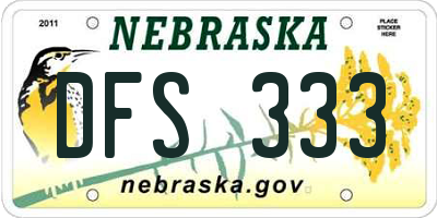 NE license plate DFS333