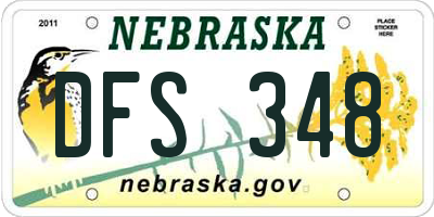 NE license plate DFS348