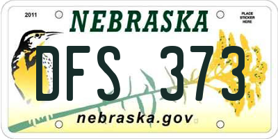 NE license plate DFS373
