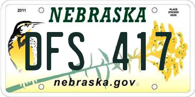 NE license plate DFS417