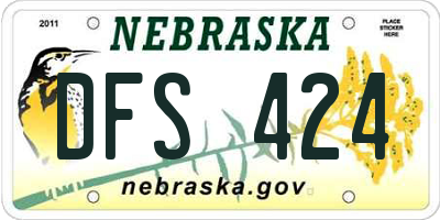 NE license plate DFS424