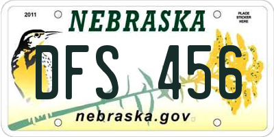 NE license plate DFS456