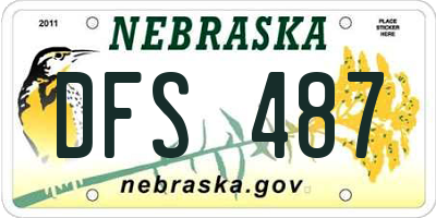 NE license plate DFS487