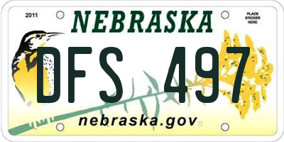 NE license plate DFS497