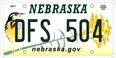 NE license plate DFS504