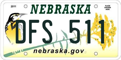 NE license plate DFS511