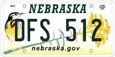 NE license plate DFS512