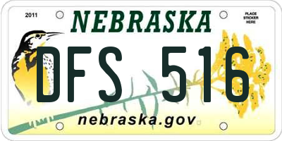 NE license plate DFS516