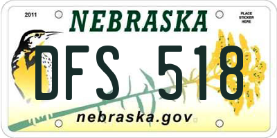 NE license plate DFS518
