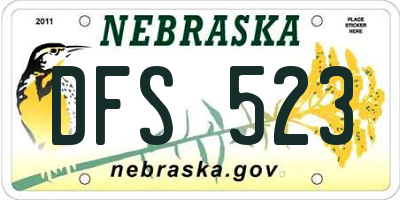 NE license plate DFS523