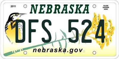 NE license plate DFS524