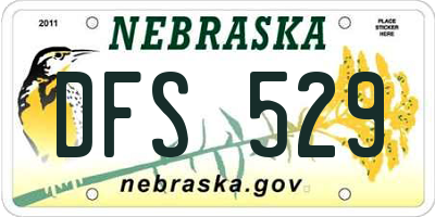 NE license plate DFS529