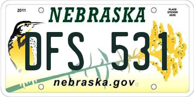 NE license plate DFS531