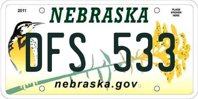 NE license plate DFS533