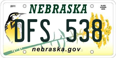 NE license plate DFS538