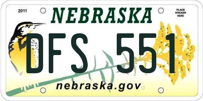 NE license plate DFS551
