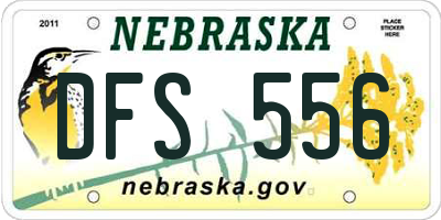 NE license plate DFS556
