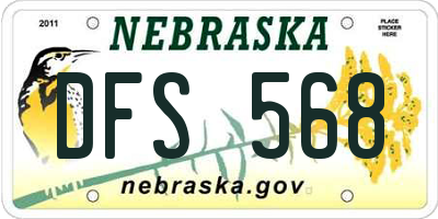 NE license plate DFS568