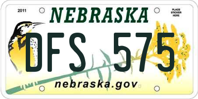 NE license plate DFS575