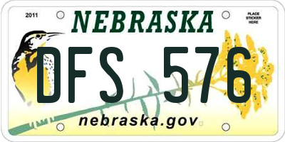 NE license plate DFS576