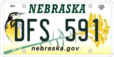 NE license plate DFS591