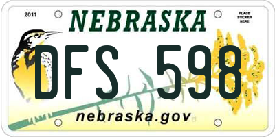NE license plate DFS598