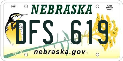 NE license plate DFS619