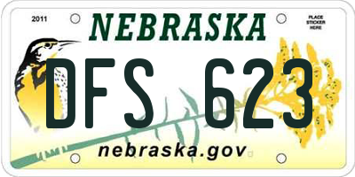 NE license plate DFS623