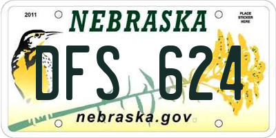NE license plate DFS624