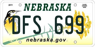 NE license plate DFS699