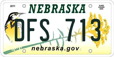 NE license plate DFS713
