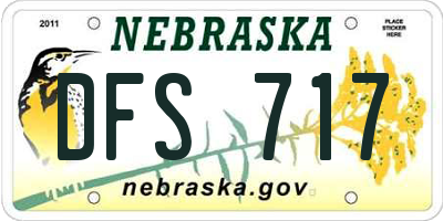 NE license plate DFS717