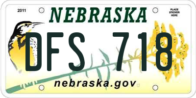 NE license plate DFS718