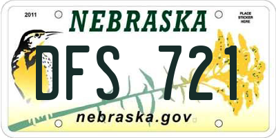 NE license plate DFS721