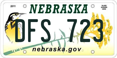 NE license plate DFS723
