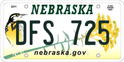 NE license plate DFS725