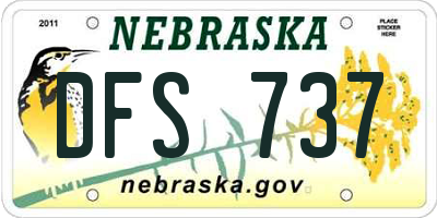 NE license plate DFS737