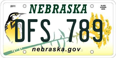 NE license plate DFS789