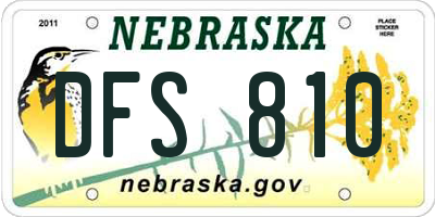 NE license plate DFS810